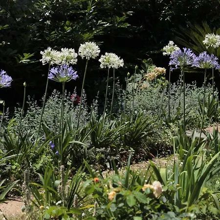 Iride ベッド・アンド・ブレックファスト